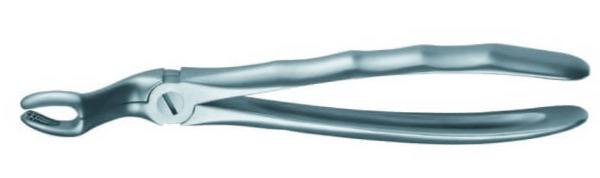 Dental forceps